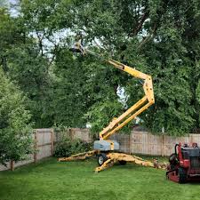 Lawn Grading and Leveling in San Rafael, NM